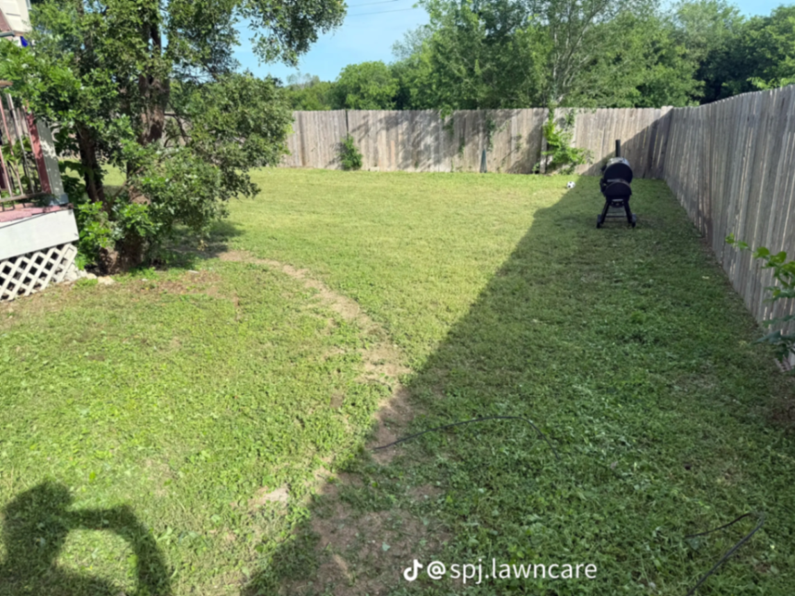 Freshly mowed backyard with crisp stripes along the fence line