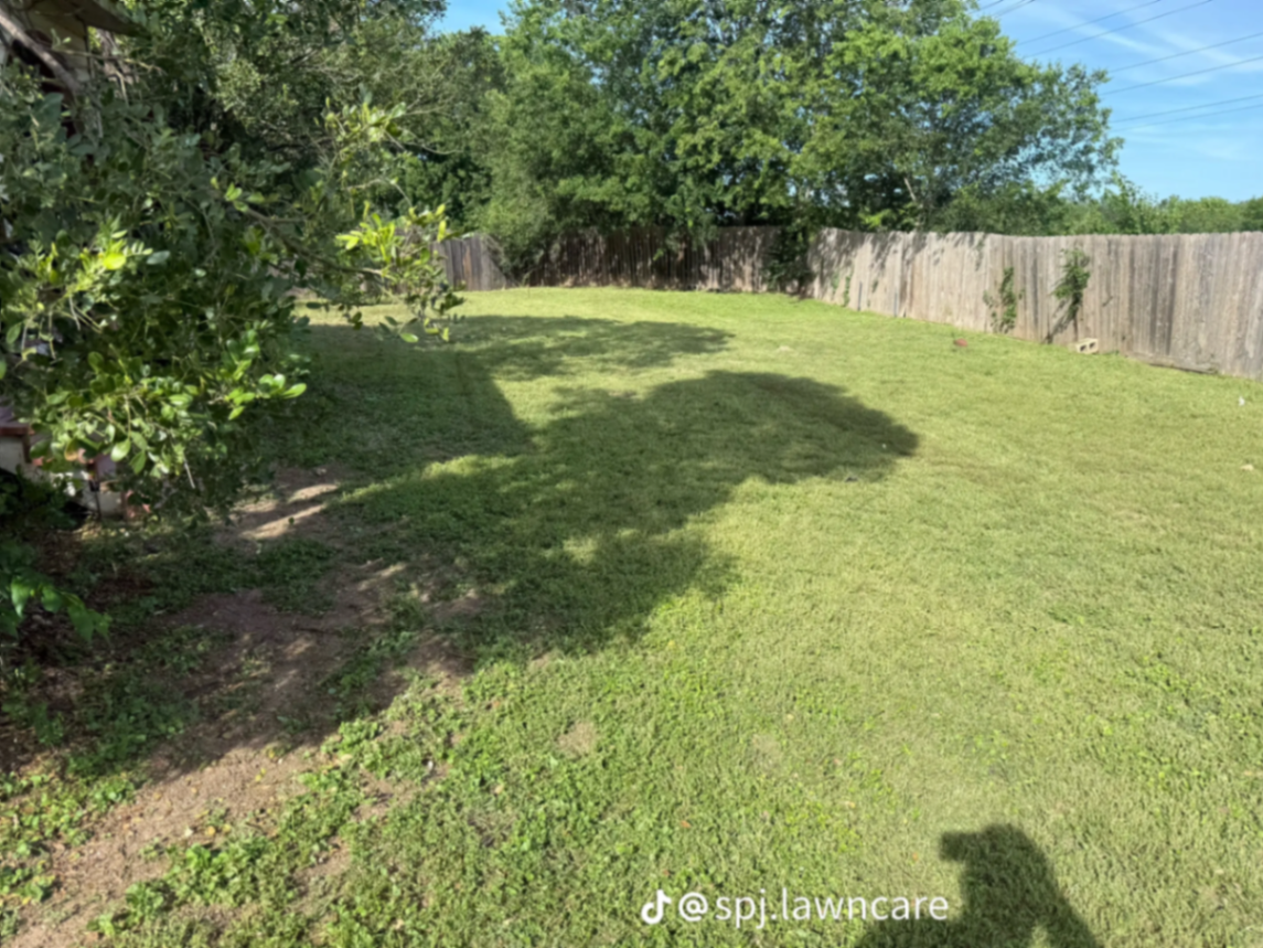 Lush green backyard lawn cleaned up and edged