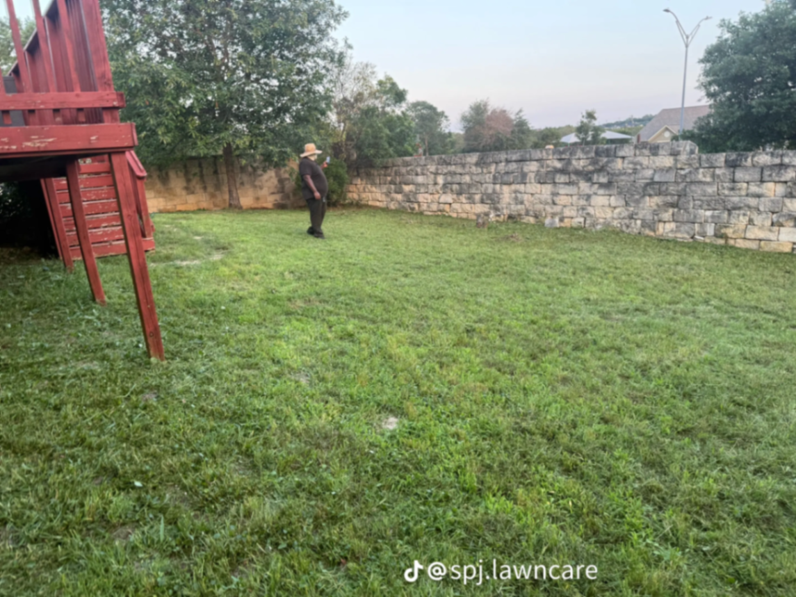 Large backyard mowed clean next to a stone retaining wall