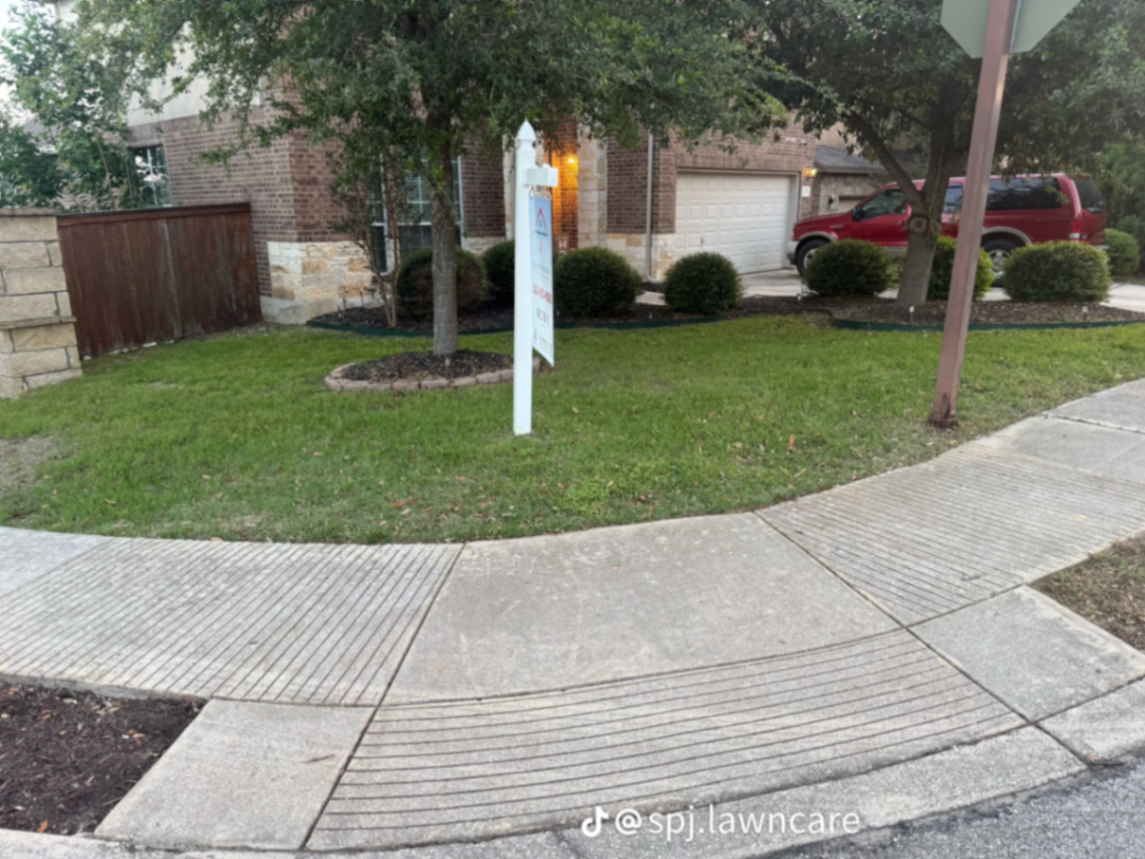 Manicured front yard with trimmed bushes and tidy edges